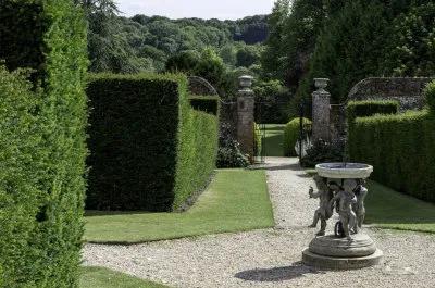 How to Plant a Formal Hedge (Video)