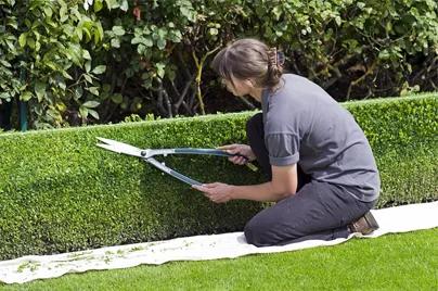 Hedge Pruning