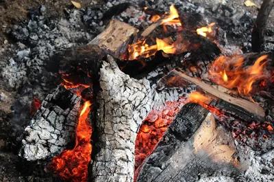 Biomass Wood Fire