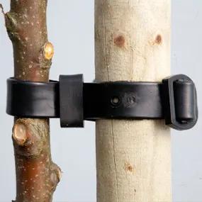Buckle and Strap Ties for Trees
