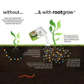 With and without rootgrow results