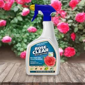 Rose Clear Ultra