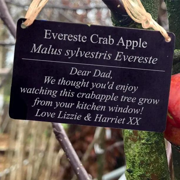 Personalised Tree Tag