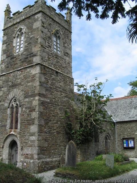 Fig tree growing in a church wall