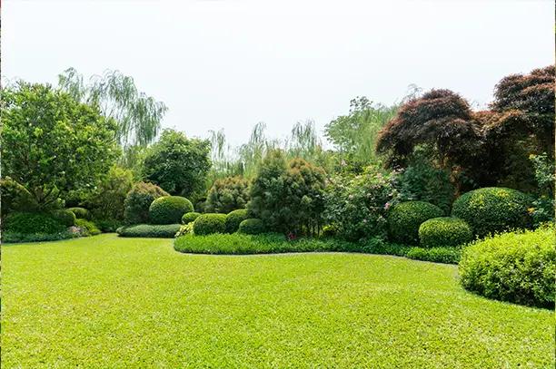 Formal Garden