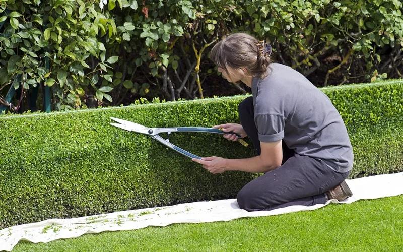 Hedge Pruning