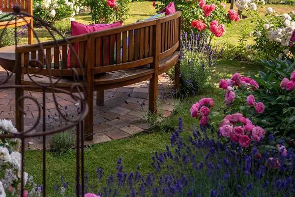 Lavender and Roses planted together in a sunny garden