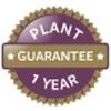 Plant guarantee for 1 year