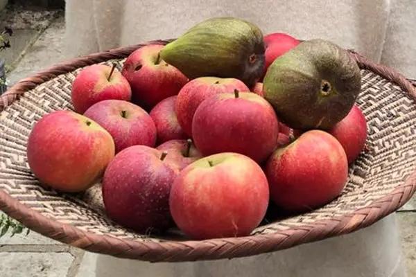 Ripe Figs and Apples